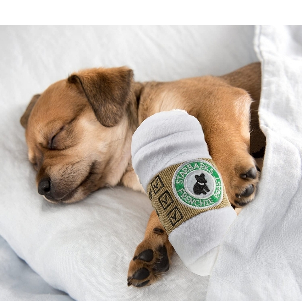 Starbucks Frenchie Roast Coffee Squeeky Dog Toy
